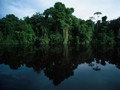 何处是生境：拯救亚马逊热带雨林