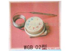 供应温控器,F2000,A冷柜温控器 WGE-35-- 深圳市海星科电科技有限公司