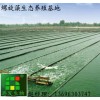 港发生物食品级螺旋藻粉价格国标GB/T16919-1997