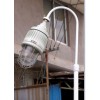 BCP-F粉尘防爆平台灯 可用作厂区或平