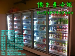 合肥三洋冷藏柜价格-合肥啤酒柜价格-- 合肥德尔曼商用设备公司