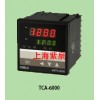 TCA-6131P智能温控仪规格大全TCA-613