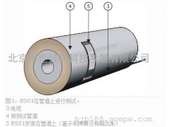 北京特销BS01带状热通量传感器-- 北京博伦经纬科技发展有限公司