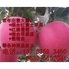 【烟台苹果树苗 烟台葡萄树苗 烟台大