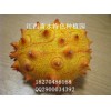火参果鲜果批发零售
