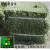 供应滨州苜蓿草供应,苜蓿草粉,苜蓿草