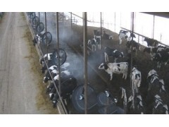 猪圈鸡棚牛舍喷雾自动消毒除臭设备-- 深圳市东佳强环保科技有限公司