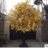 金色许愿树许愿树仿真许愿树春节许愿