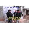 豪猪的养殖前景如何|豪猪养殖加盟