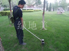 石家庄果园除草机公司推荐庄绿华机械科技-- 石家庄绿华机械科技有限公司
