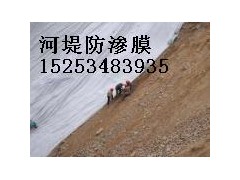 德州长丝复合膜售后电话-- 陵县华龙化纤有限公司