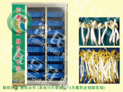 富民全自动芽苗机YMJ-100A-- 青州市富民豆芽设备厂市场部