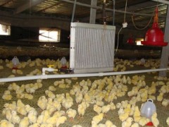 养殖暖风机生产厂家德冷空调设备厂为朔州养殖用户提供了保障-- 德州经济开发区德冷空调设备厂直销处