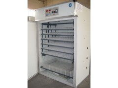 山东润德孵化机 全自动孵化机-- 德州润德金属制品有限公司