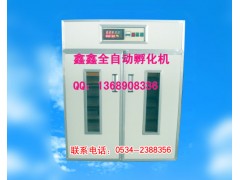 鑫鑫全自动孵化机野鸡孵化机鸽子孵化机-- 山东鑫鑫孵化设备厂