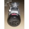 十大木川TS-100高温油泵 模温机专用油泵 耐油温200度