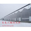 青岛 温室大棚专用阳光板