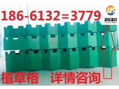 北京植草格-- 泰安绿标建材有限公司