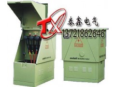 高压成套设备厂家定制DFW高压分接箱 美式高压电缆分接箱-- 河南省泰鑫电气有限公司