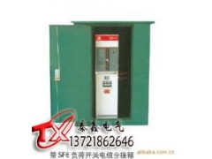 DFW高压分接箱  高压分接箱厂家-- 河南省泰鑫电气有限公司
