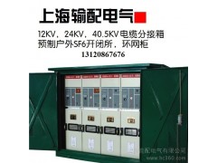 供应35kV电缆分接箱/35KV带SF6开关电缆分支箱/35kV电缆对接/分接箱-- 上海输配电气有限公司