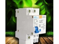 艾地生工程家装带漏电保护空气开关厂家批发 DZ471P10A断路器批发-- 东莞市艾地生实业有限公司