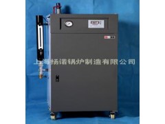免办锅检 自动补水 36kw电蒸汽锅炉-- 上海扬诺锅炉制造有限公司