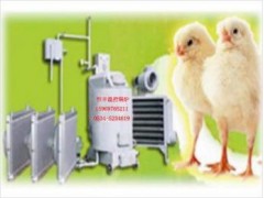 养鸡锅炉肉鸡养殖专用锅炉养殖锅炉-- 宁津恒丰养殖温控设备厂
