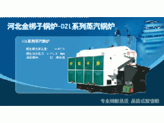 DZl系列蒸汽锅炉-- 河北金梆子锅炉有限公司