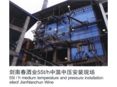 水冷漩涡分离内循环流化床锅炉-- 郑州锅炉股份有限公司