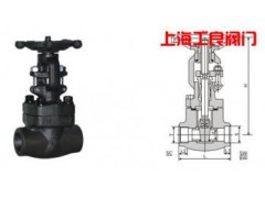 锻钢焊接闸阀-上海工良阀门-- 上海工良阀门厂