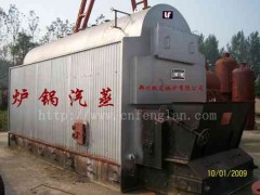 2吨燃煤链条全自动蒸汽锅炉-- 郑州枫岚锅炉有限公司