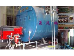 1吨燃高粘度重油锅炉-- 郑州枫岚锅炉有限公司