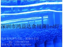 LED食用菌补光灯-- 深圳鸿益达光电科技有限公司