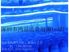 LED食用菌补光灯-- 深圳鸿益达光电科技有限公司