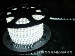 led高压灯带5050SMD60-- 广州享亮光电科技有限公司
