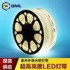 供应超美led软灯条5050
