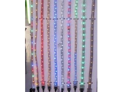 供应LED彩虹管 LED灯带-- 中山建东照明有限公司