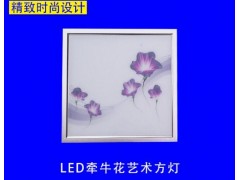 供应8瓦LED厂房面板-- 郯城天越电子有限公司