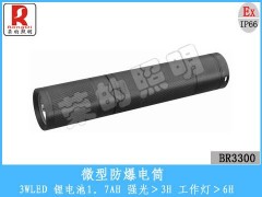 BR3300微型防爆电筒 精巧手电-- 温州市荣的照明电器有限公司