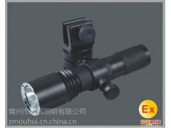 LED微型防爆调光电筒BAD202C-- 江苏欧辉照明灯具有限公司