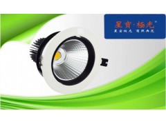 供应LED天花灯PAR30-- 深圳市星宝极光照明有限公司