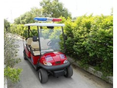 电动高尔夫球巡逻车4座价格-- 长沙高尔机电科技有限公司