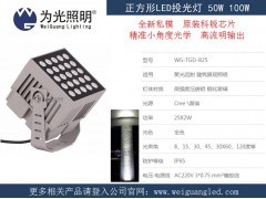 100W高层建筑远射光LED投光灯-- 江门市为光照明科技有限公司