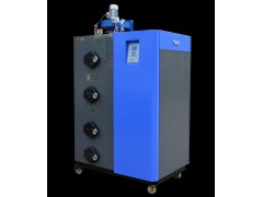 200kg劳士特生物质蒸汽发生器LSH0.2-0.7-M-- 浙江绿野生物质锅炉科技有限公司
