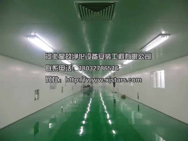邢台洁净工程公司、星玖净化工程（咨询查看）、净化厂房建设-- 河北星玖净化设备安装工程有限公司