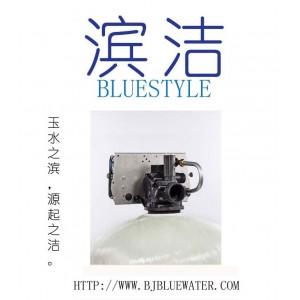 北京碧水深蓝锅炉软化水设备厂家