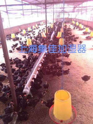 养鸡棚专用加湿器-养鸡棚用的加湿器-- 上海集佳空气净化设备有限公司