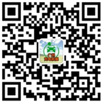 图片134
