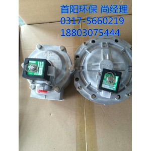 三寸淹没式DSF-Y-80DMF电磁脉冲阀厂
